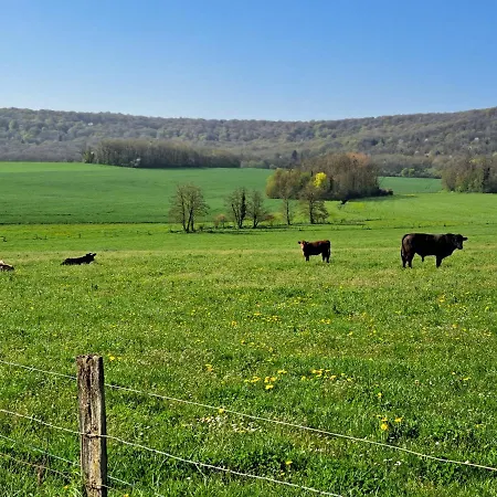 Apartament Belle Histoire Voisey